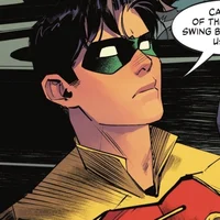 ROBIN Dick Grayson
