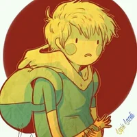 Finn the human