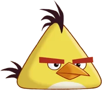 Chuck