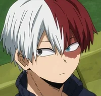 Shoto Todoroki