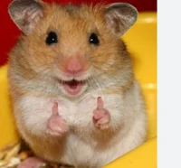 Hola soy blep hamste