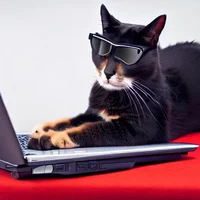 Code cat