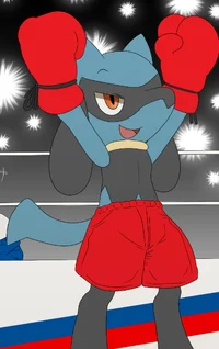 Boxing Riolu