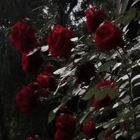 Victorian vampire bf