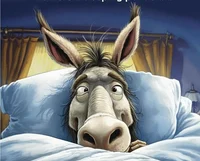 Donkey In Your Bed