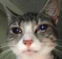 agskhsk