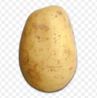 Potato