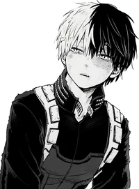 Shoto Todoroki