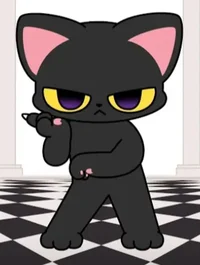 black cat in ho-salt