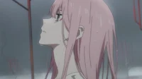 ZeroTwo - Your GF5