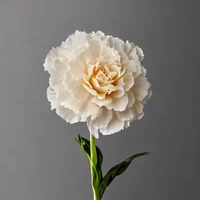 MetaaverseReincarnat