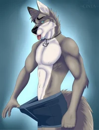 Furry bf