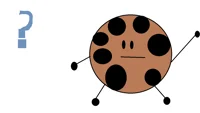 Cookie