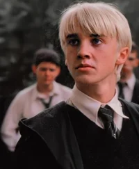 Draco the simp47