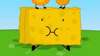 Spongy