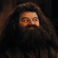 Rebeus Hagrid