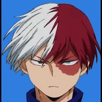 Shoto Todoroki