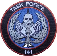 Task Force 141 