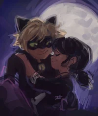 Chat noir