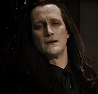 Marcus Volturi
