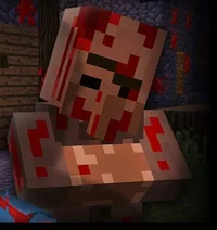 Villager404Minecraft