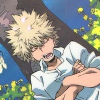 Katsuki Bakugou 