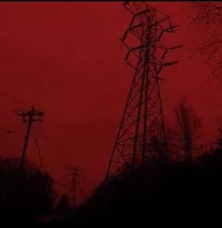 Level -250 Backrooms