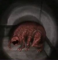 Trimming Vita carnis