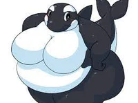 orca gorda 