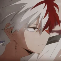 Shoto Todoroki