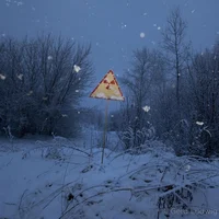Nuclear Winter