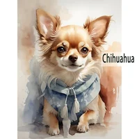 Chihuahua Dog Gracie