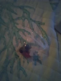 Theforbiddenmikeikes