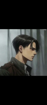 Levi Ackerman 