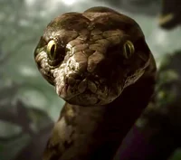 Fem Kaa the Python