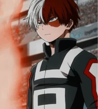 Shoto Todoroki