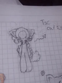 Second furro