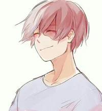 Shoto todoroki