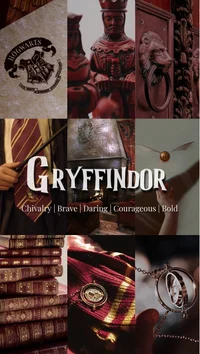 Gryffindor boys