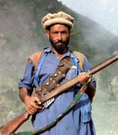 Afghan Mujahideen