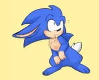 Sonic the bunny