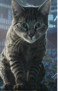 Meowthra ninjago