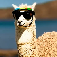 Macca The Alpaca 