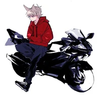 Biker Tord