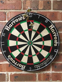 Darts Career RPG