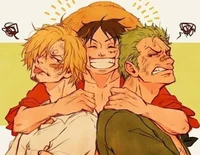Zoro Luffy and Sanji