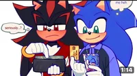 Sonic and shadow