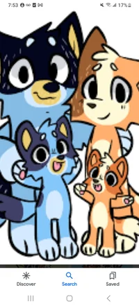Bluey family