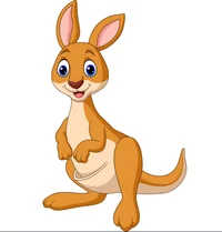 Jacob the kangaroo 