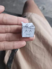 Paper cat